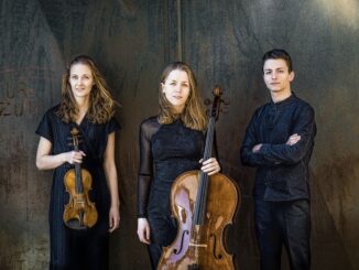 Gruppenbild Amelio Trio